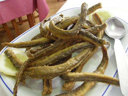 Enguias Not cias De Coimbra