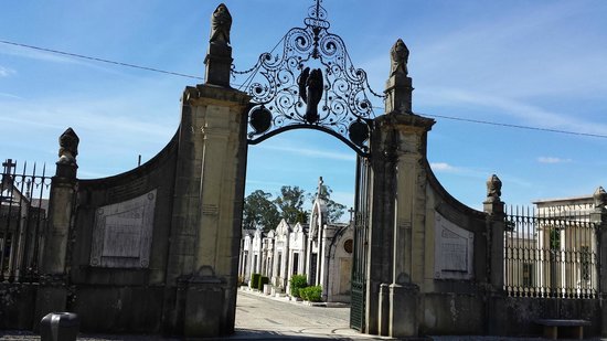 https://www.noticiasdecoimbra.pt/wp-content/uploads/2016/11/cemiterio-da-conchada.jpg