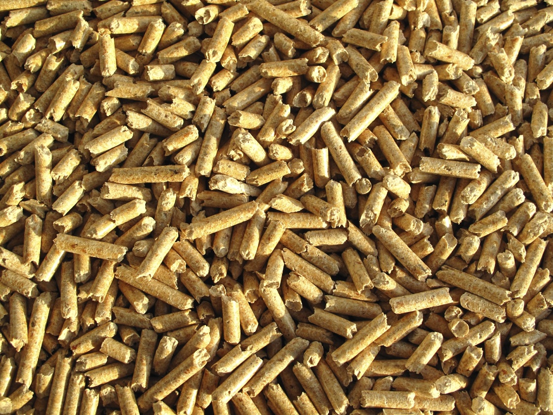 Biomassa (1)