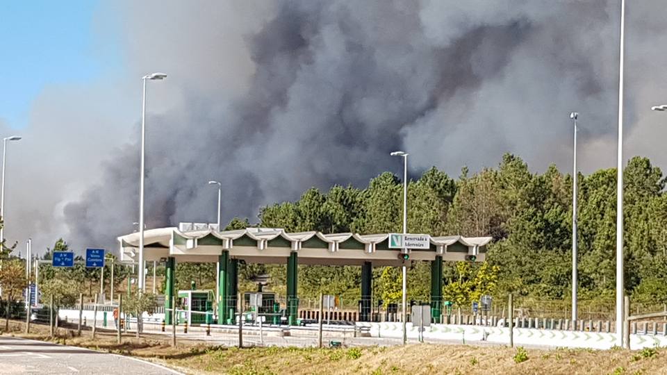 a14