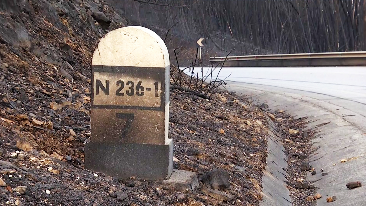 en236-1