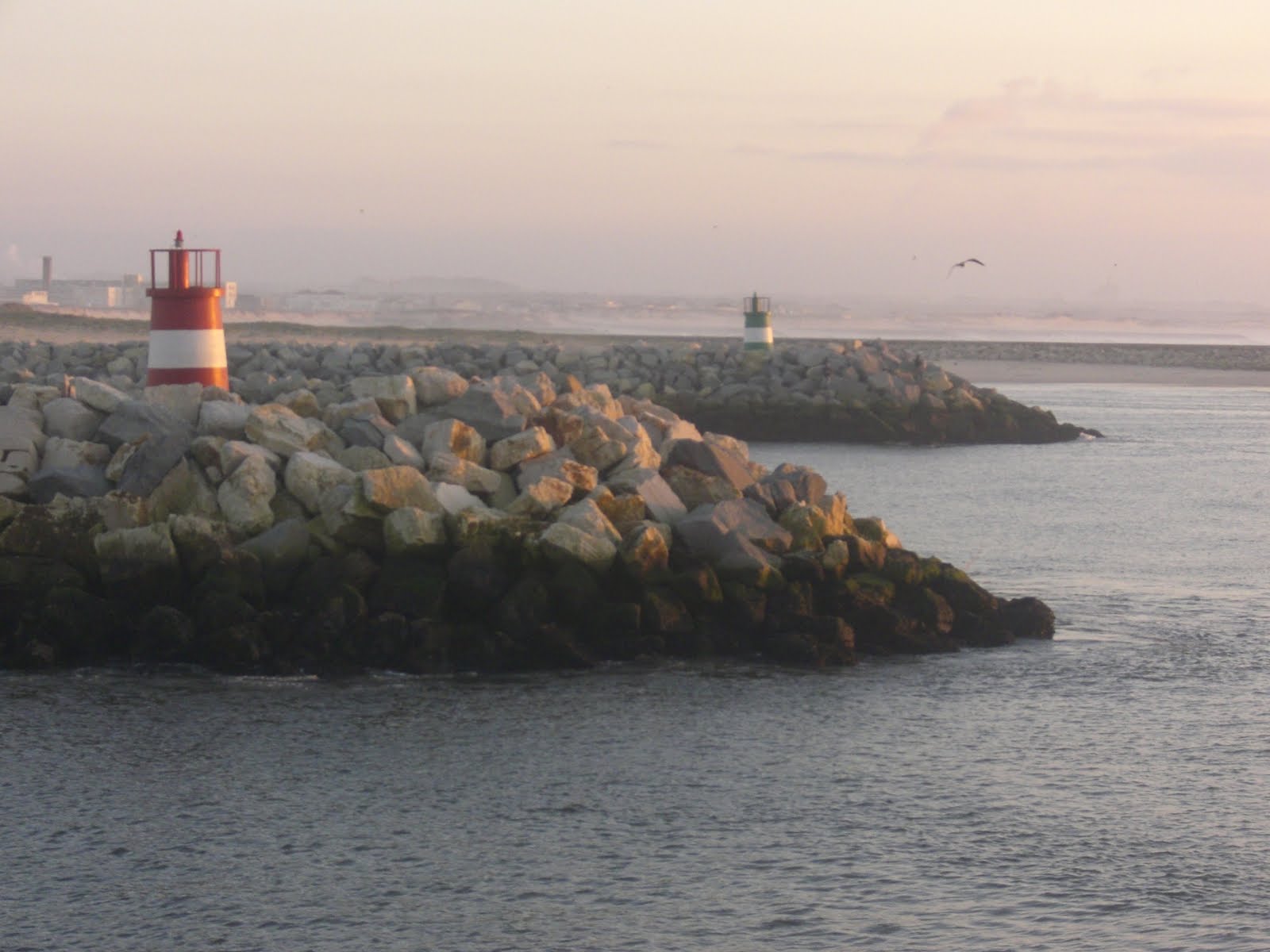 figueira da foz pesca e mar