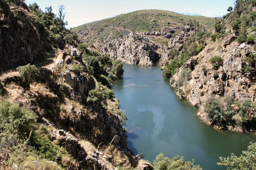 ribeira de pera