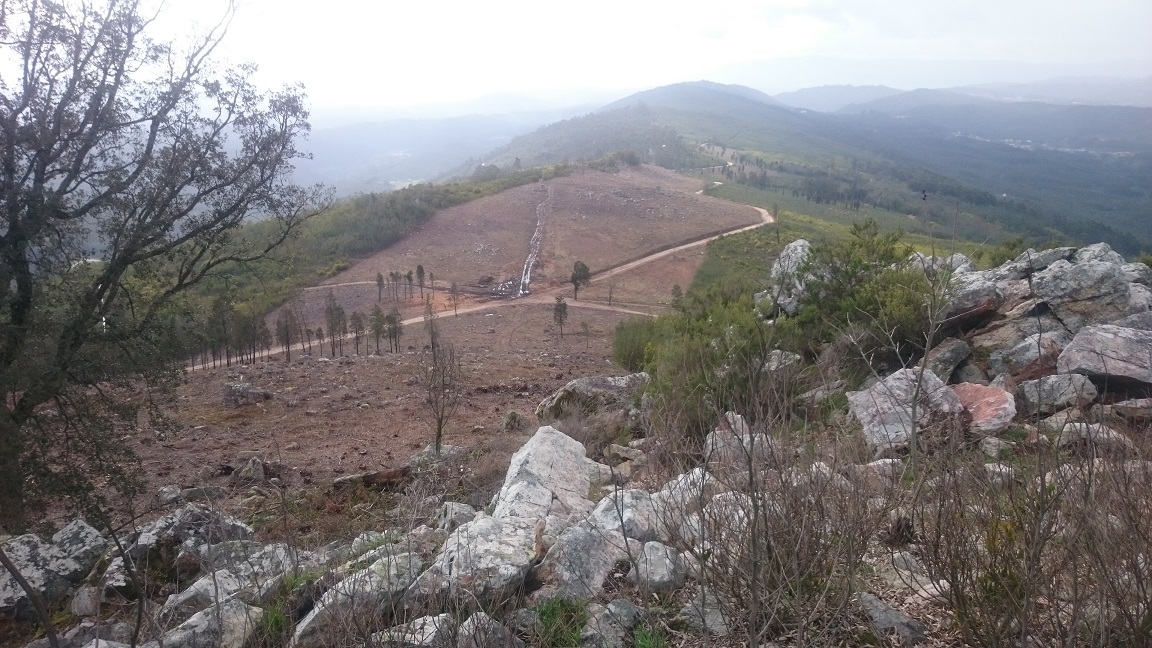 mata penacova