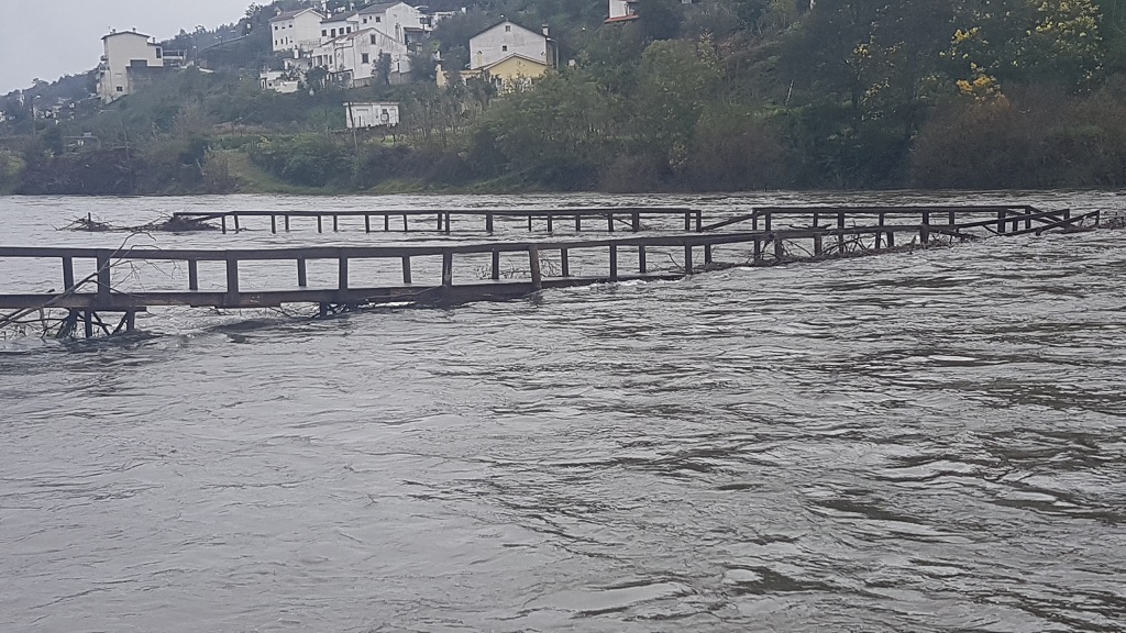 ponte palheiros e zorro