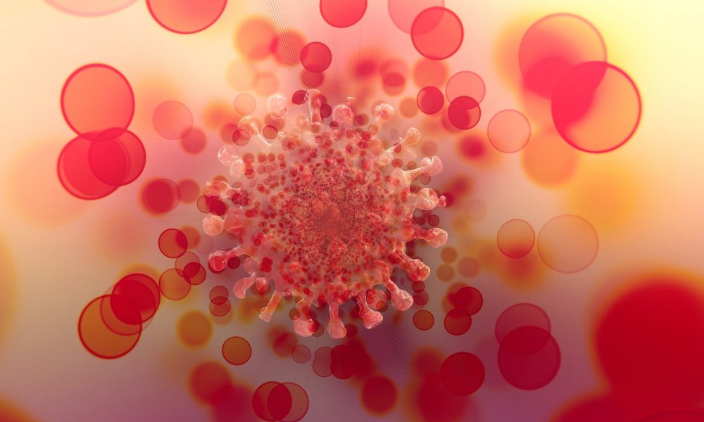 Variante Ómicron já é dominante em Portugal – Notícias de Coimbra