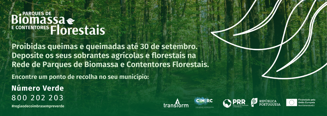 publicidade