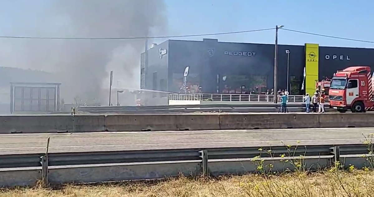Dramatic Fire Engulfs Montael in Coimbra, Threatening Homes and Local Businesses