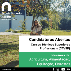 publicidade