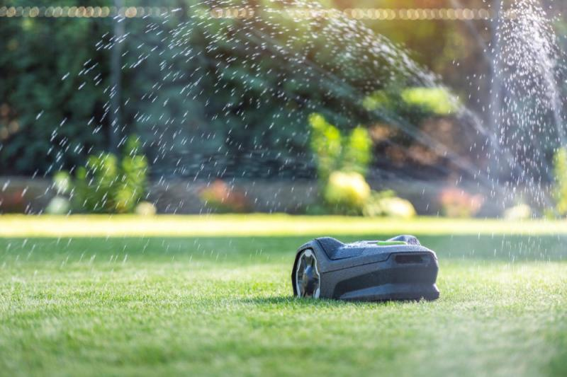 8 conselhos para transformar o seu jardim sem esforço