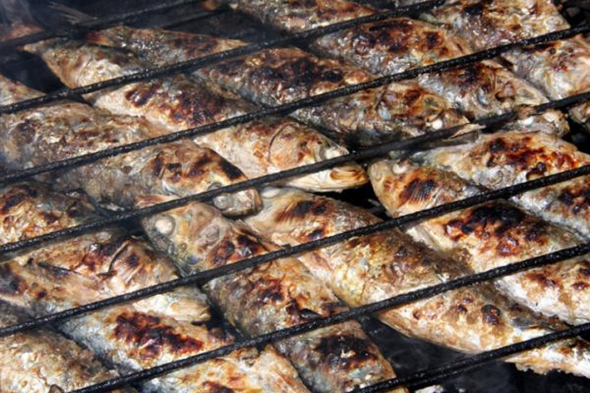 O maior festival português dedicado à sardinha e às tradições nacionais chega a Águeda